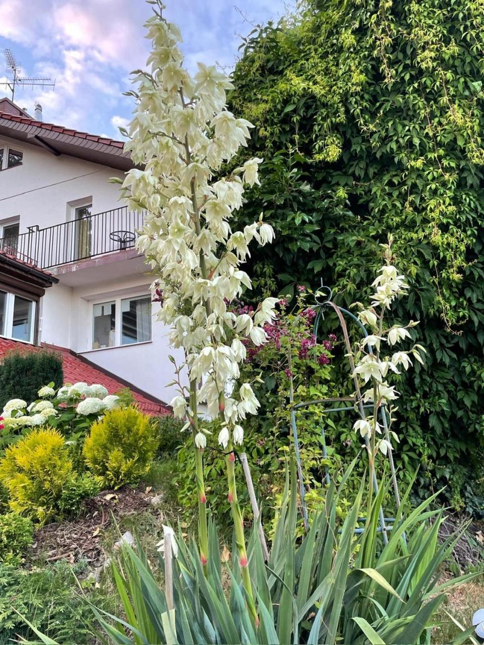 Villa Mielno-Eko Mielno  Buitenkant foto