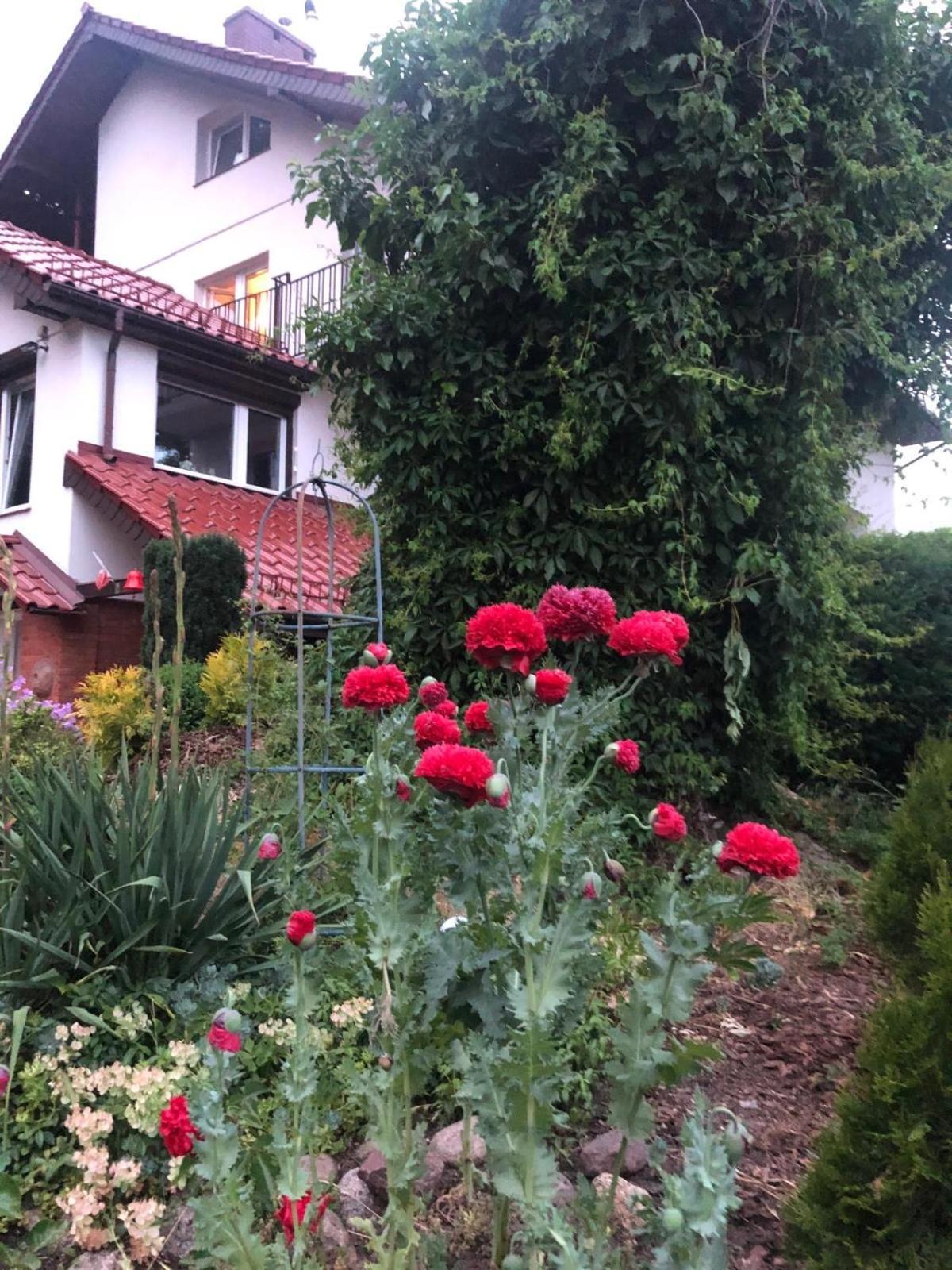 Villa Mielno-Eko Mielno  Buitenkant foto